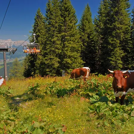 Apartamento Reiter-2 By Interhome